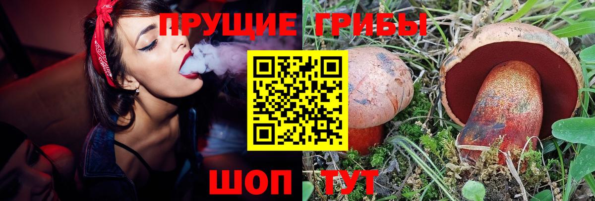 Галлюциногенные грибы MAGIC MUSHROOMS Зеленокумск