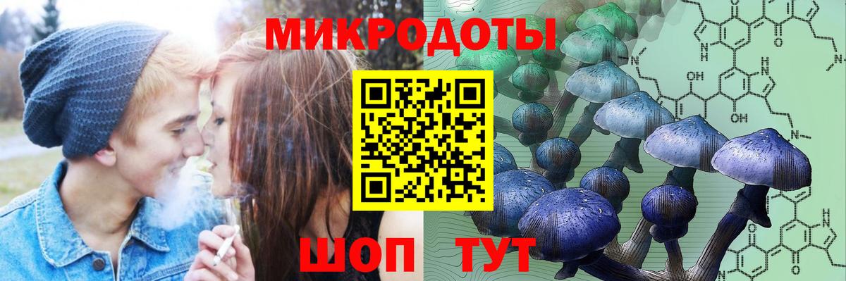 Галлюциногенные грибы GOLDEN TEACHER  Галлюциногенные грибы Magic Shrooms  Зеленокумск  Вход с VPN 